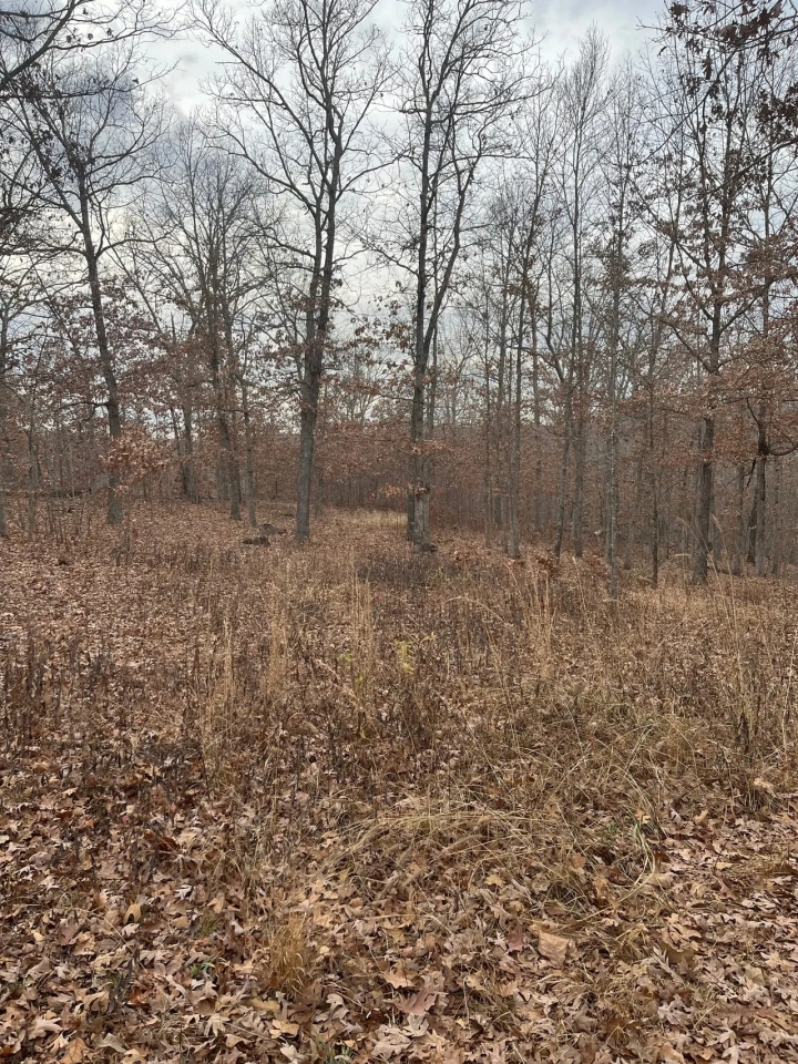 Heller s Hideaway Hunting Land for Sale