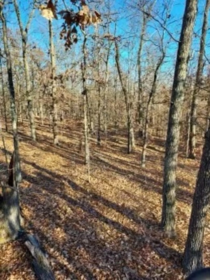 Heller s Hideaway Hunting Land for Sale