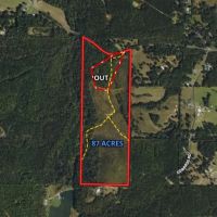 87 AC Teeming with Wildlife