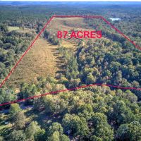 87 AC Teeming with Wildlife images 3