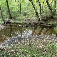 87 AC Teeming with Wildlife images 4