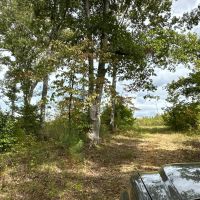 87 AC Teeming with Wildlife images 5