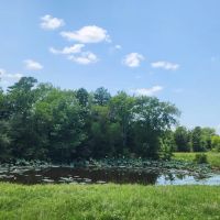 Buffalo Valley acreage images 5