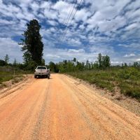 20 Acres in the Desoto National Forest in Wayne County MS images 5
