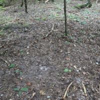 LA - Caldwell 9.5 acres - images 2