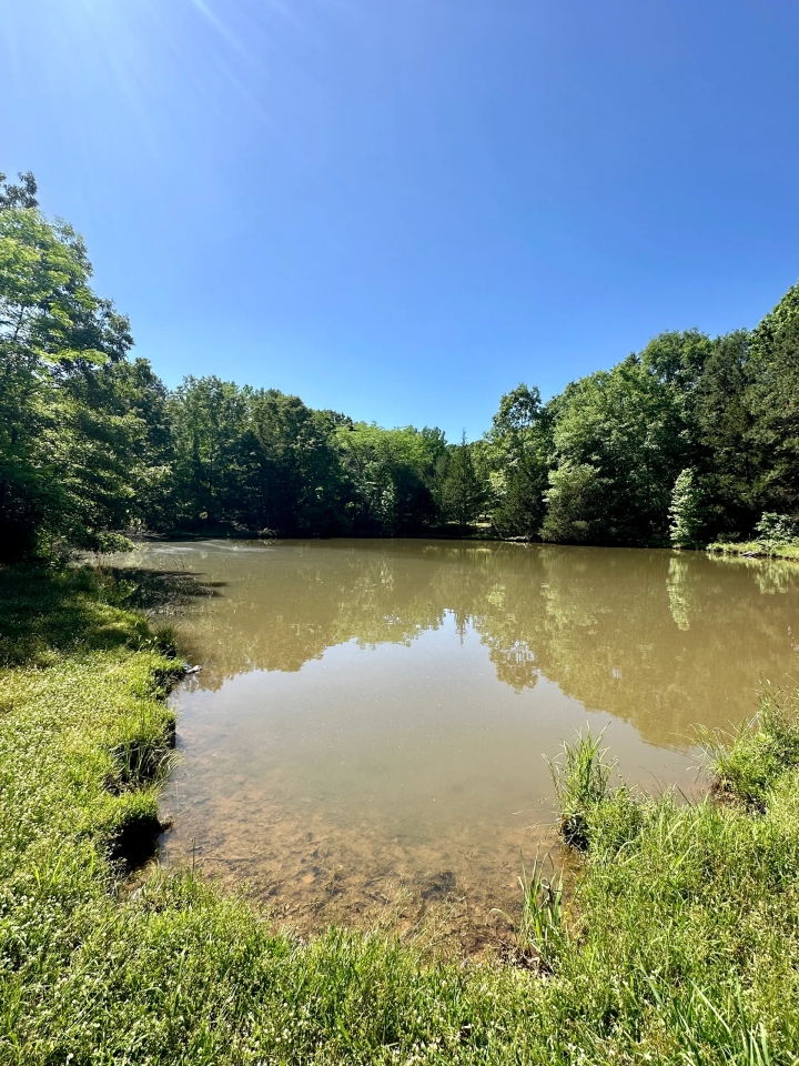 96 Acres with a Home in Holmes County MS Hunting Land for Sale