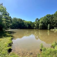 96 Acres with a Home in Holmes County MS images 3