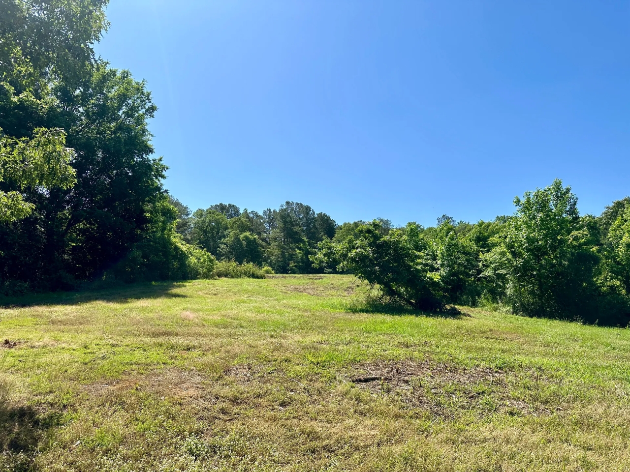 96 Acres with a Home in Holmes County MS Hunting Land for Sale