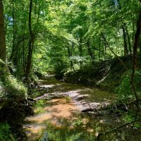 96 Acres with a Home in Holmes County MS images 5