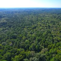 5.14 acres of Residential Recreational and Timber Land For Sale in Isle of Wight County VA images 5