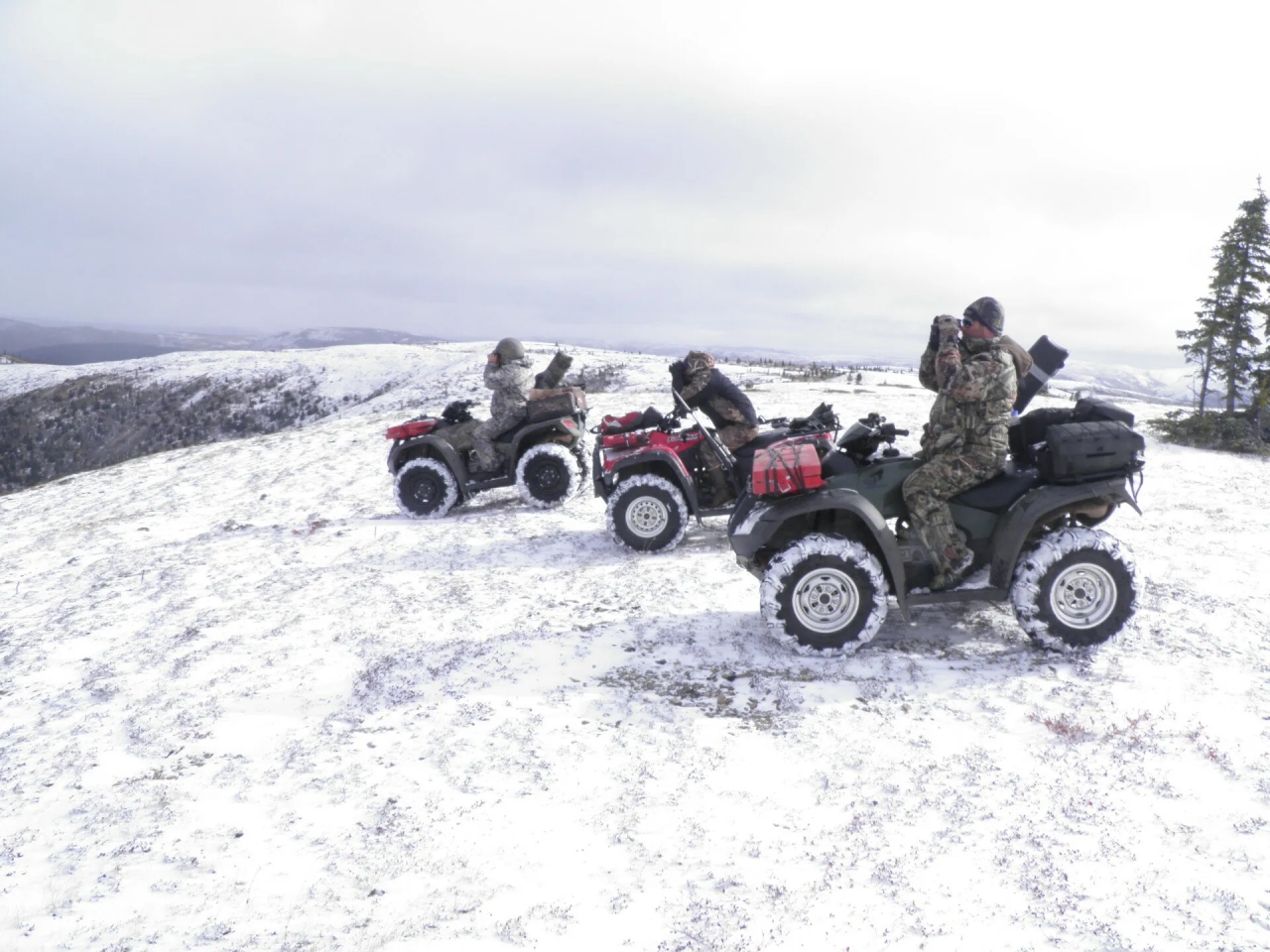 Fortymile River Gold District Hunting Land for Sale HuntingLocator