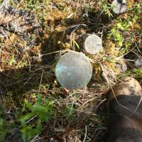 Fortymile River Gold District images 5