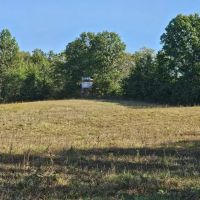 Linn County Hunting Farm with CRP Income images 4
