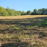 Linn County Hunting Farm with CRP Income images 5