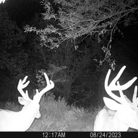 80th Rd Road Yates Center KS images 2