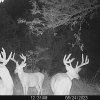 80th Rd Road Yates Center KS images 3