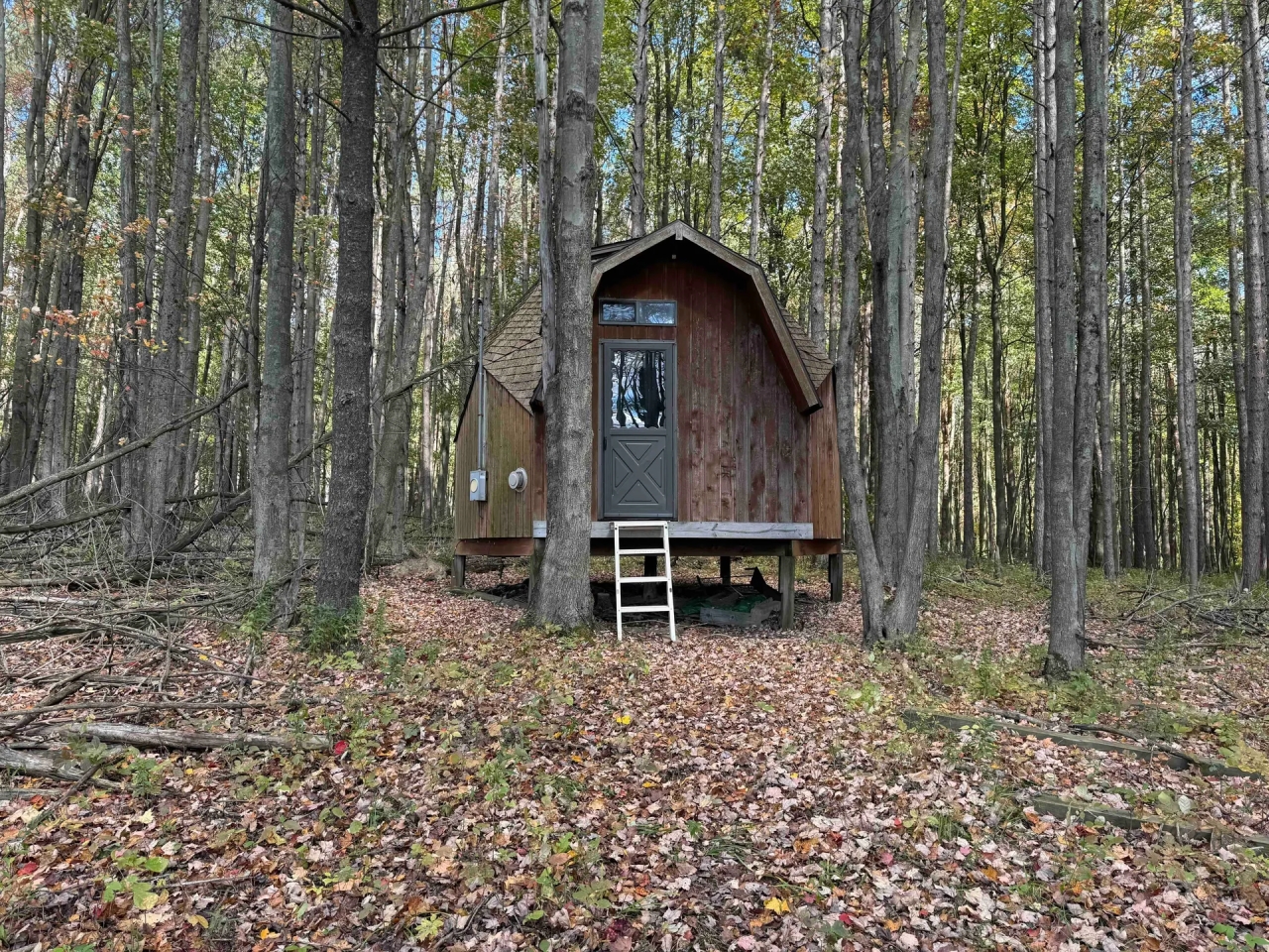 Cabin with Hunting and Recreational Land on 11 acres in Fillmore NY