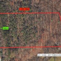 Cabin with Hunting and Recreational Land on 11 acres in Fillmore NY Centerville Rd images 2