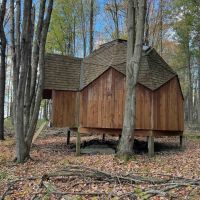 Cabin with Hunting and Recreational Land on 11 acres in Fillmore NY Centerville Rd images 4