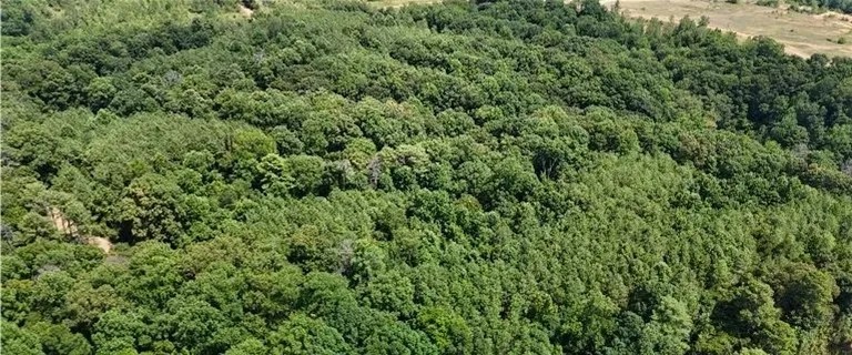 39.8 Acres in Carroll County in Greenwood MS featured image