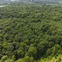 39.8 Acres in Carroll County in Greenwood MS images 5