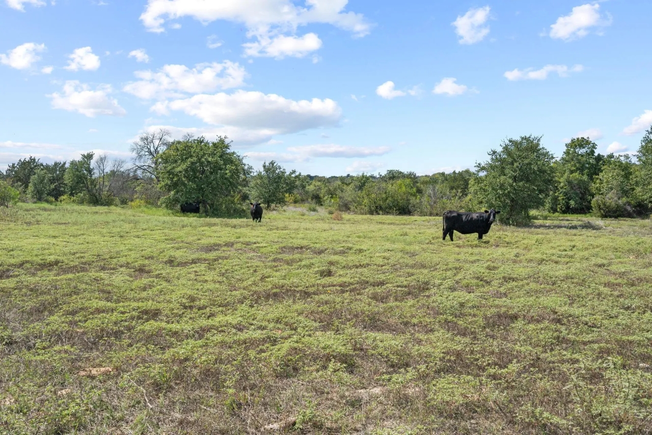 1109 Comanche Cr 343 Dublin Texas 76446 Hunting Land for Sale