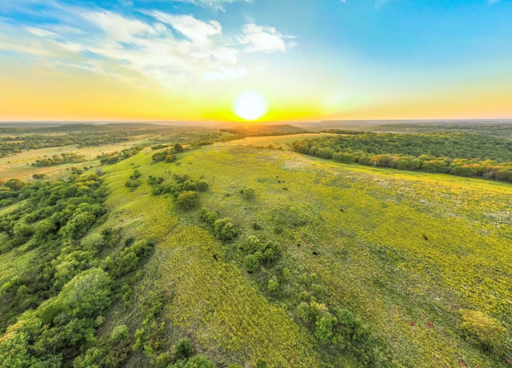 768 - Acres in Washington County featured image