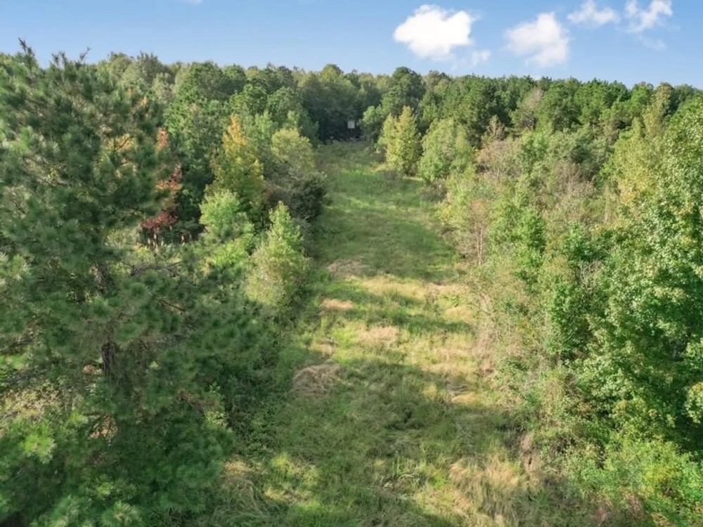 Turnkey Hunting Property in Catahoula Parish featured image