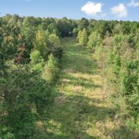 Turnkey Hunting Property in Catahoula Parish