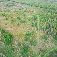 Turnkey Hunting Property in Catahoula Parish images 4