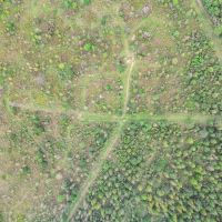 Turnkey Hunting Property in Catahoula Parish images 5