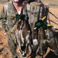 KS - Barber 1065 acres - images 2