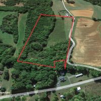 Surry County NC Land For Sale images 3