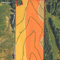 Surry County NC Land For Sale images 4