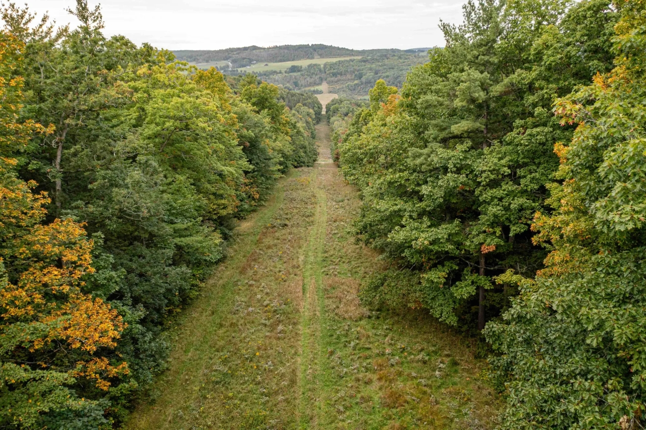 116 acres Hunting and Recreational Property in Lindley NY Bell Hill Rd