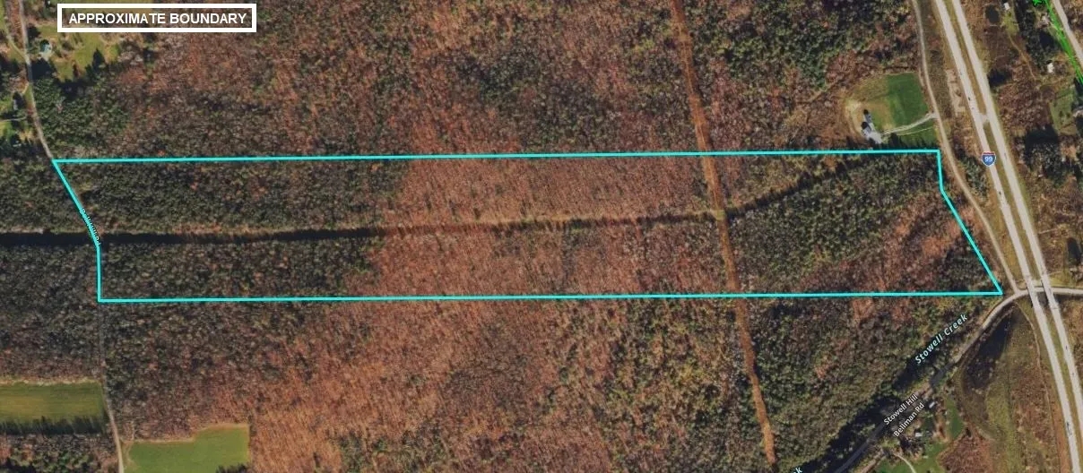 116 acres Hunting and Recreational Property in Lindley NY Bell Hill Rd