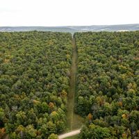 116 acres Hunting and Recreational Property in Lindley NY Bell Hill Rd images 5