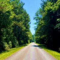 31 Acres in Winston County in Lousiville MS images 2