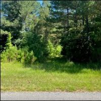 31 Acres in Winston County in Lousiville MS images 3