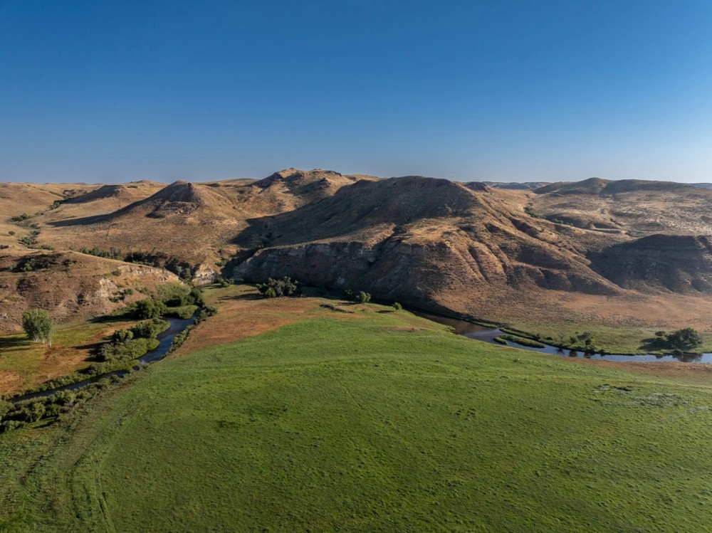 Cross F Ranch featured image