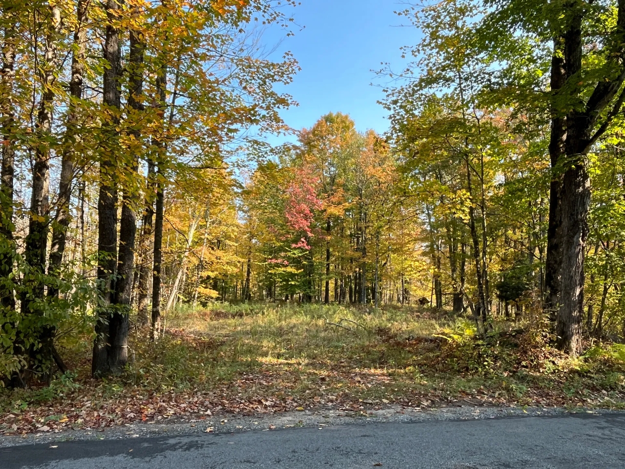 13 acres Hunting Land with Cabin Site Colton NY Hunting Land for Sale