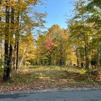 13 acres Hunting Land with Cabin Site Colton NY images 2