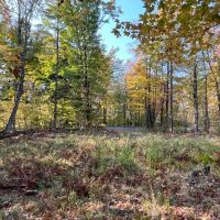 13 acres Hunting Land with Cabin Site Colton NY images 3