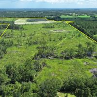 Graceville Longview Farm