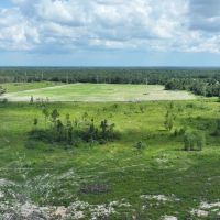 Graceville Longview Farm images 2
