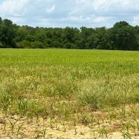 Graceville Longview Farm images 5