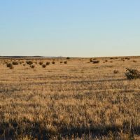 South Apishapa Ranch images 4