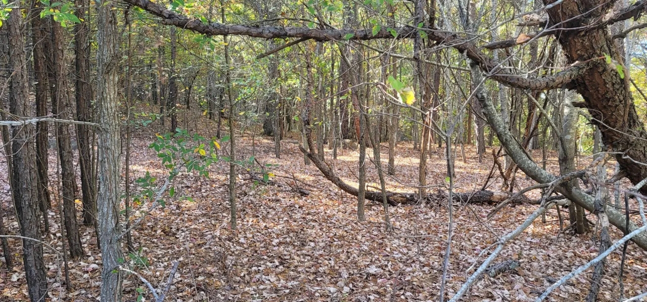 20 AC ON BENGAL MOUNTAIN Hunting Land for Sale