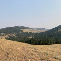 7100 Skelly Gulch Road images 4