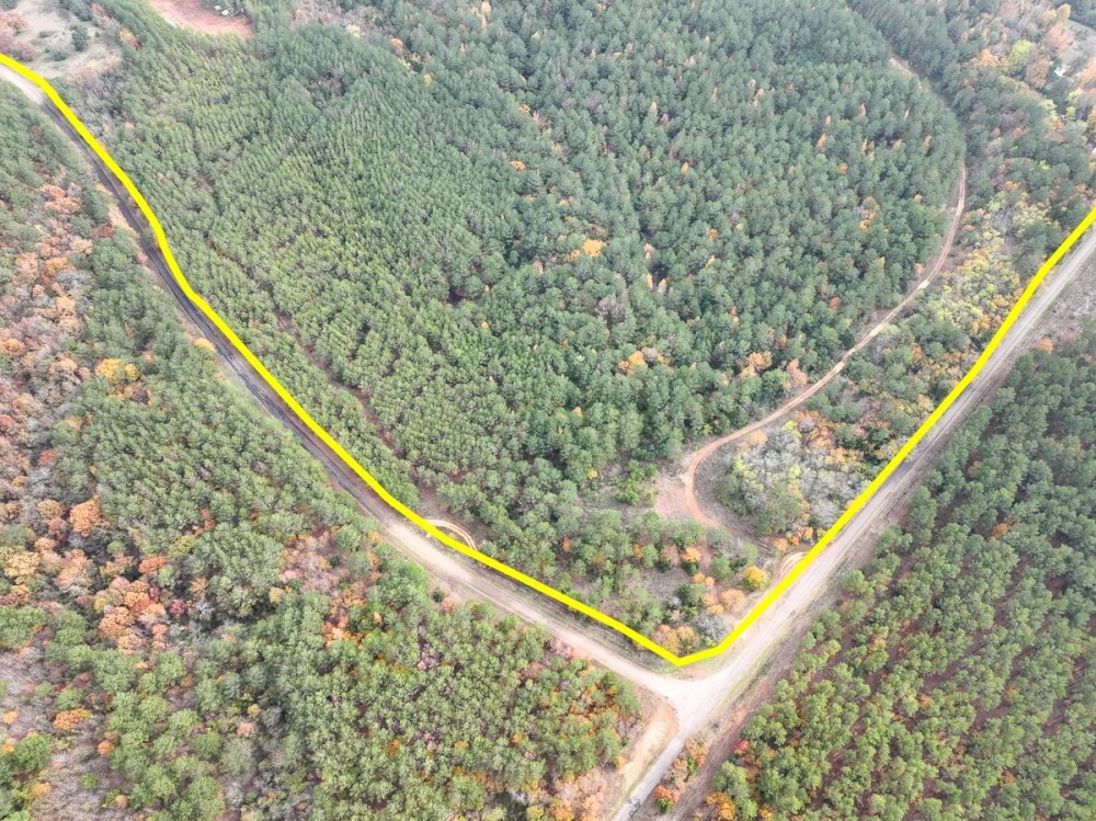 146 Acres CR 2115 Tract 1011 featured image